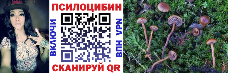 Псилоцибиновые грибы Cubensis  купить наркотики сайты  Починок 