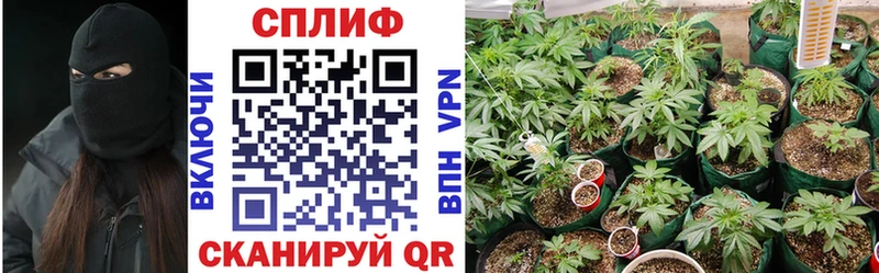 Марихуана Amnesia  Починок 